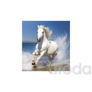 Képes falinaptár Top Timer Lovak, 2026.év