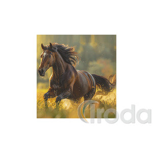 Képes falinaptár Top Timer Lovak, 2026.év