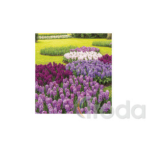 Képes falinaptár Top Timer Kertek 220x330mm 2026.év