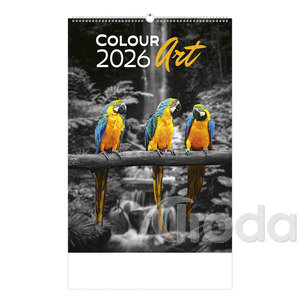 Képes falinaptár Top Timer 'Colour Art' 315x450mm,  2026.év