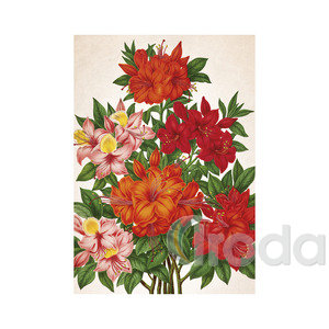 Képes falinaptár Top Timer Herbárium 315x450mm,  2026.év