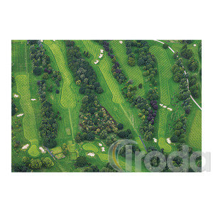 Képes falinaptár Top Timer 'GOLF' 485x340mm,  2026.év