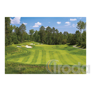 Képes falinaptár Top Timer 'GOLF' 485x340mm,  2026.év