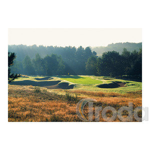 Képes falinaptár Top Timer 'GOLF' 485x340mm,  2026.év
