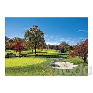 Képes falinaptár Top Timer 'GOLF' 485x340mm,  2026.év