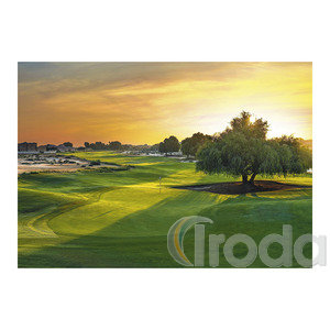 Képes falinaptár Top Timer 'GOLF' 485x340mm,  2026.év