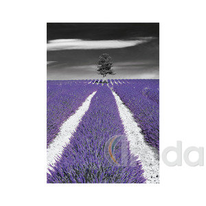 Képes falinaptár Top Timer 'Colour Art' 315x450mm,  2026.év