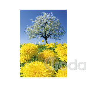Képes falinaptár Top Timer NATURE EMOTIONS  315x450mm,  2026.év
