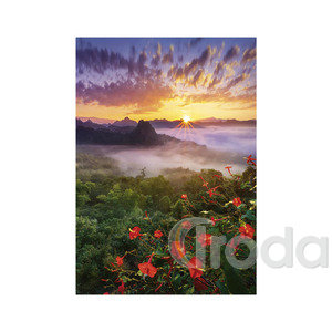 Képes falinaptár Top Timer NATURE EMOTIONS  315x450mm,  2026.év