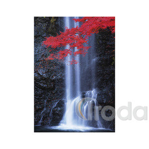 Képes falinaptár Top Timer NATURE EMOTIONS  315x450mm,  2026.év