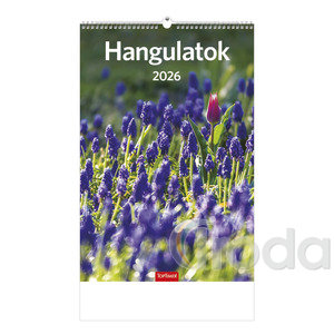 Képes falinaptár Top Timer Hangulatok 220x330mm,  2026.év