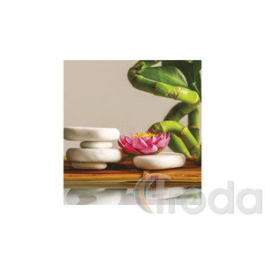 Képes falinaptár Top Timer Relax 220x330mm,  2026.év