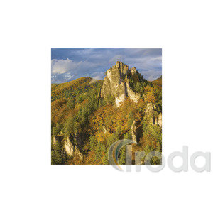 Képes falinaptár Top Timer Hegyek 220x330mm 2026.év