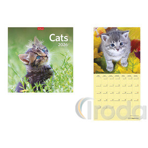 Képes falinaptár, Top Timer Cats, 290x580mm,  2026.év