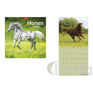 Képes falinaptár, Top Timer Horses, 290x580mm  2026.év