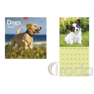 Képes falinaptár, Top Timer 'Dogs', 290x580mm 2026.év