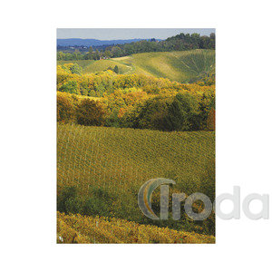 Top Timer T093 Borvidékeink Falinaptár képes, 405mm x 320mm 2026.év