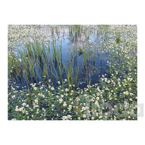 Top Timer T093 Magyarország vízei Falinaptár képes, 405mm x 320mm  2026.év