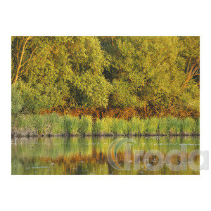 Top Timer T093 Magyarország vízei Falinaptár képes, 405mm x 320mm  2026.év