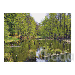 Top Timer T093 Magyarország vízei Falinaptár képes, 405mm x 320mm  2026.év