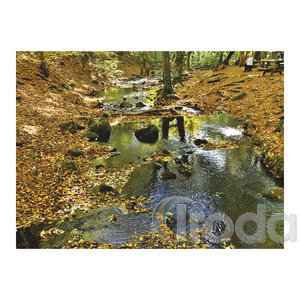 Top Timer T093 Magyarország vízei Falinaptár képes, 405mm x 320mm  2026.év
