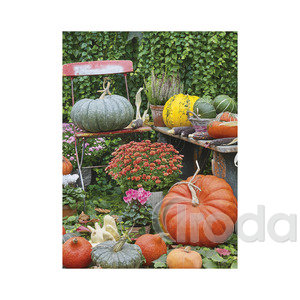 Top Timer T093 Kertésznaptár Falinaptár képes, 405mm x 320mm 2026.év