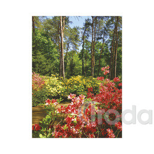 Top Timer T093 Ezerszínű Magyarország Falinaptár képes, 405mm x 320mm 2026.év