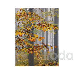 Top Timer T093 Ezerszínű Magyarország Falinaptár képes, 405mm x 320mm 2026.év