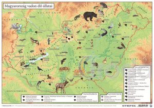Könyökalátét, kétoldalas, A3, STIEFEL Magyarország vadon élő állatai
